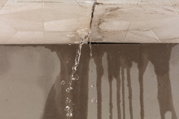 Professional Water Damage Repair technician working in Hillsdale, NJ